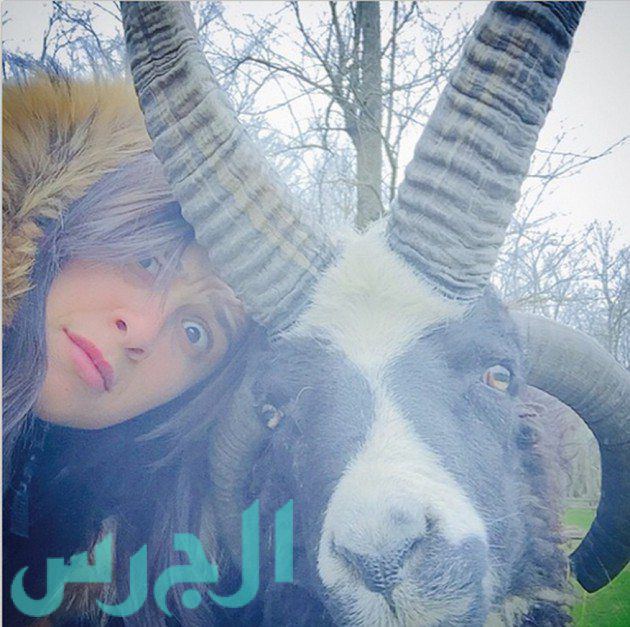 ياسمين عبد العزيز في صورة طريفة